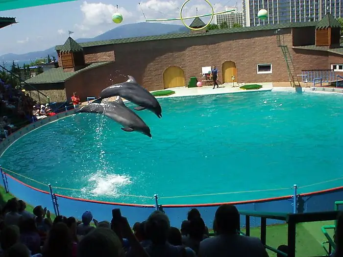 Dolphinarium Anapa