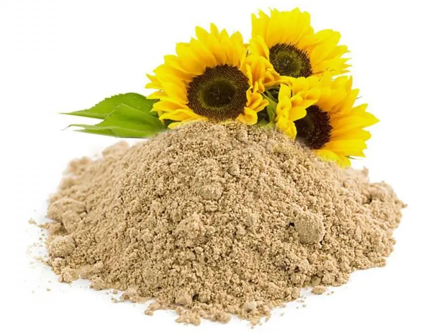 sunflower lecithin