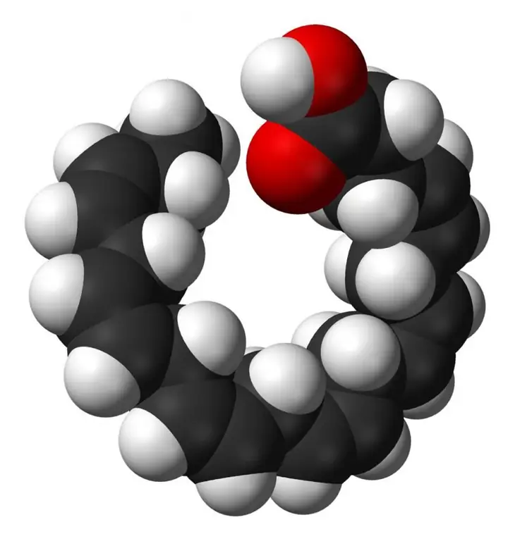 asam eicosapentaenoic asam docosahexaenoic