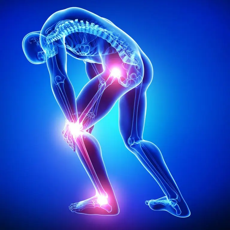 hip-pain-causes-types-diagnosis-and-treatment-diseases-and