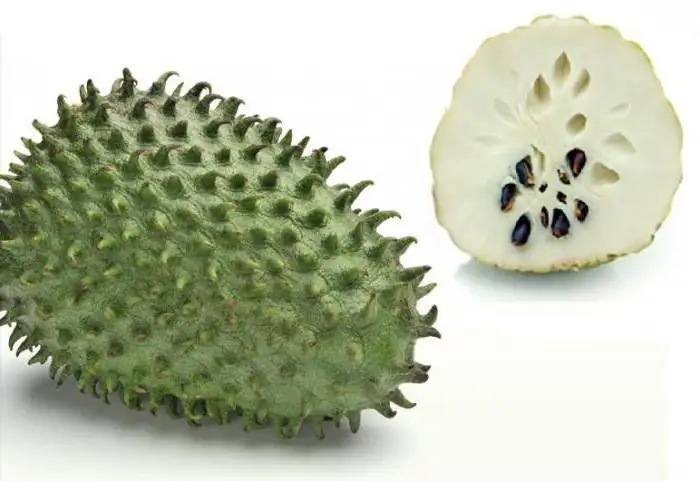 guanabana ārstē vēža ārstu atsauksmes