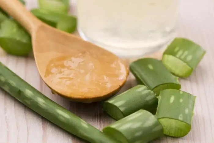 aloe can be dripped into the nose