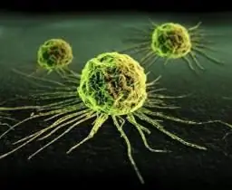 cancer cells