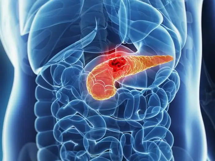 pancreas elastase normal