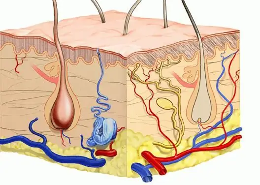 hardening of the body with water