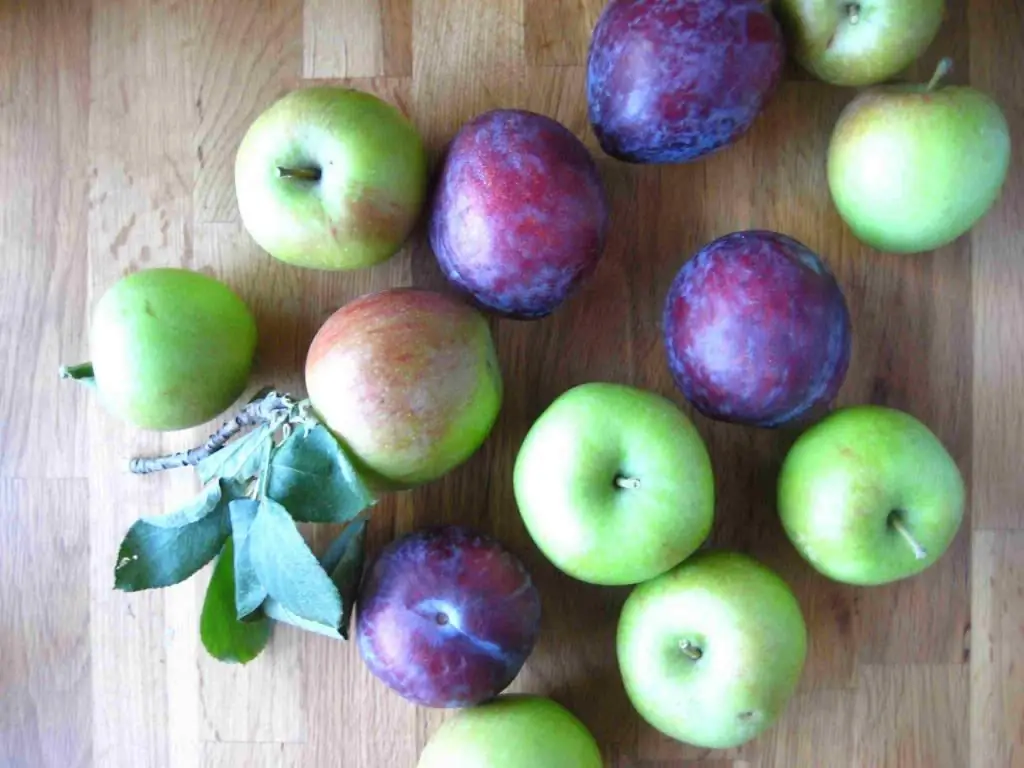 Diet klkontakteksem - äpplen och plommon är användbara