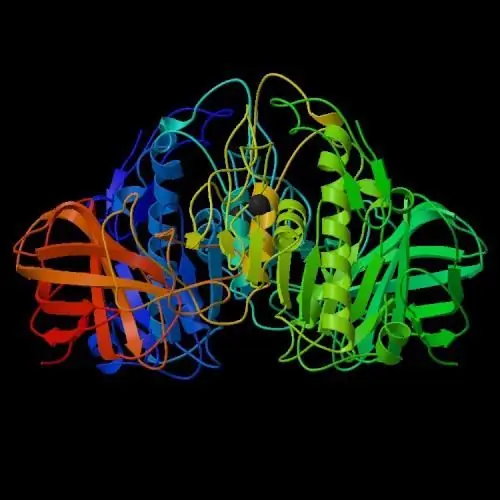 lipase is