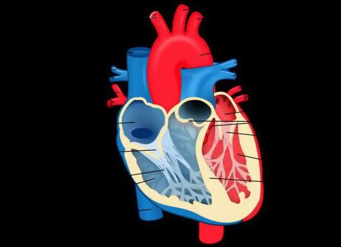 upungufu wa valve ya tricuspid