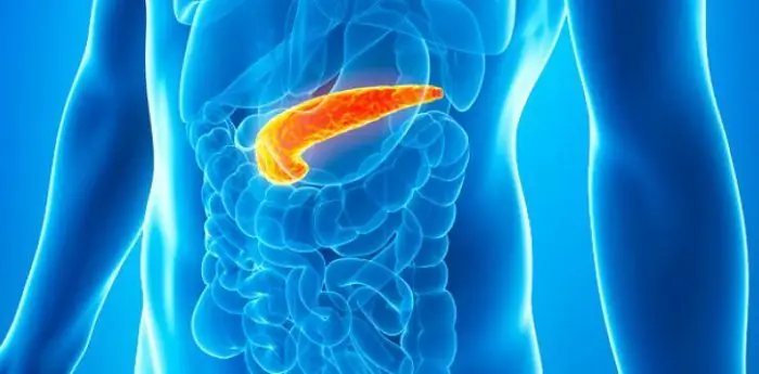 symptoms of the disease and treatment of the pancreas