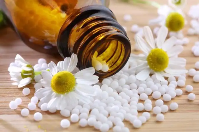 hamomilla homeopathy indications