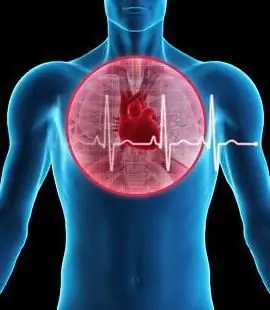 échocardiographie transoesophagienne du coeur