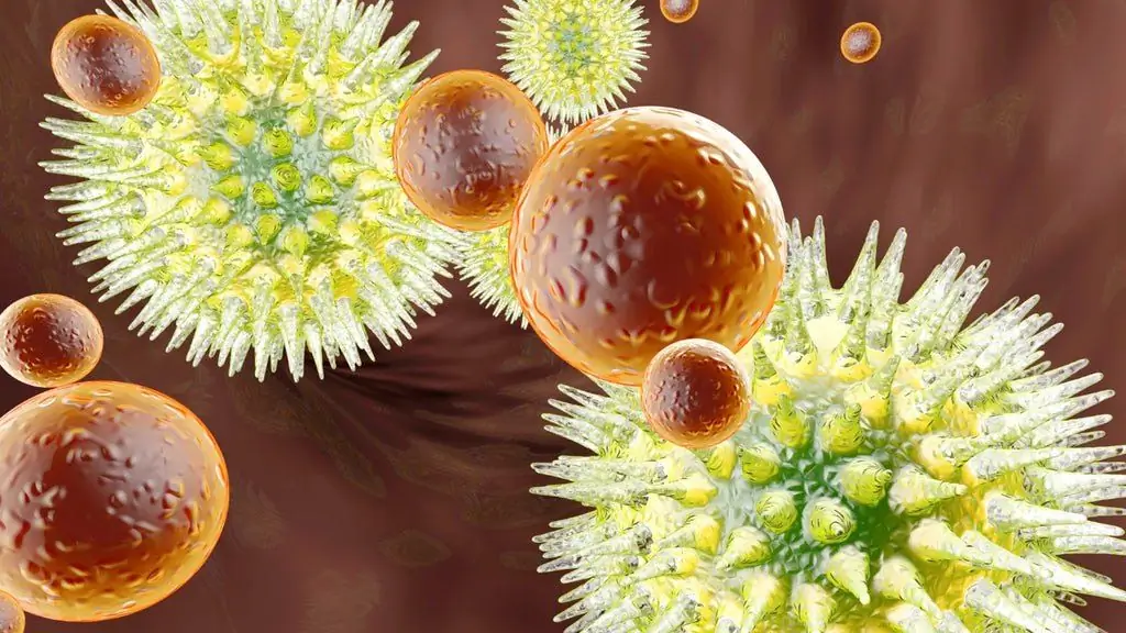 Herpes simplex virus u krvi