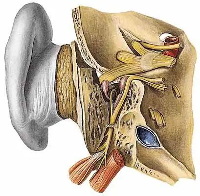 congested facial nerve treatment