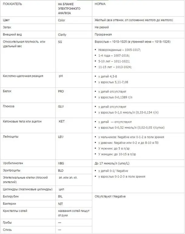 Les normes de l'analyse générale de l'urine