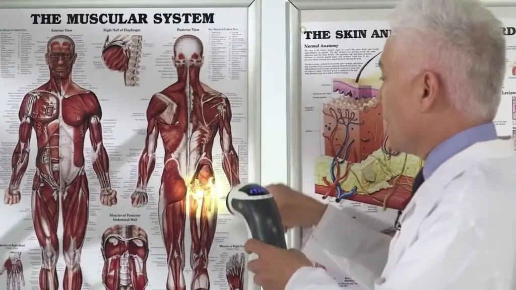 areas of application "Bioptron"