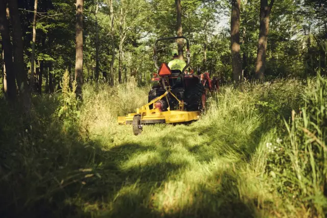 Vilka är fördelarna med en röd borste och en svinlivmoder