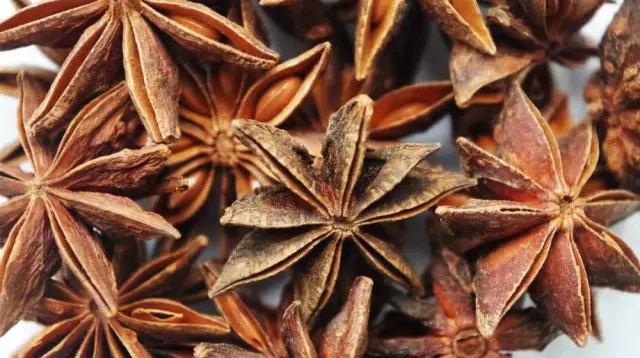 Anise oil: properties and uses