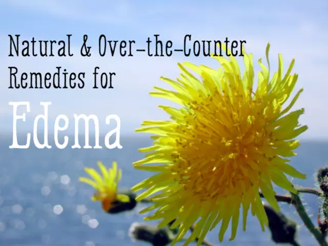 Diuretic herb for edema (diuretics)