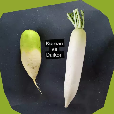 Daikon: ieguvumi un kaitējums veselībai