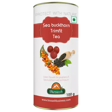 Sea buckthorn. Useful properties and contraindications of a miracle plant