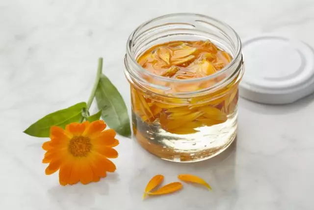 Calendula ointment: use for various purposes