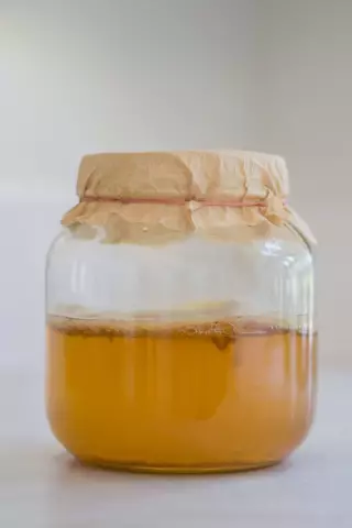 What are the medicinal properties of kombucha?