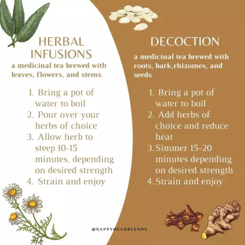 What is Bolotov's decoction? Non-traditional herbal treatment