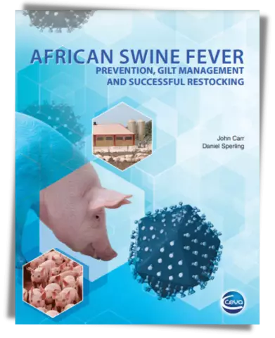 African swine fever: symptoms, diagnosis, methods of control