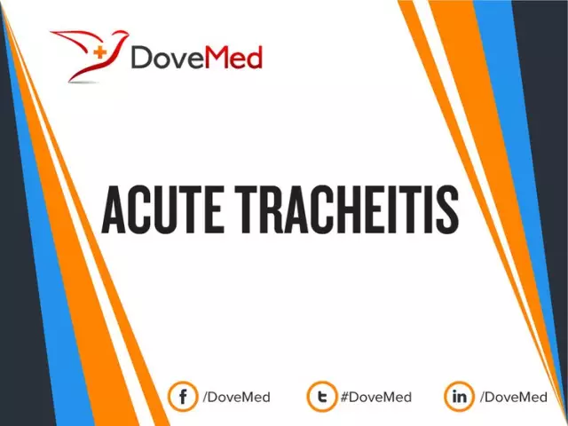 Tracheitis: what is it and how to treat it?