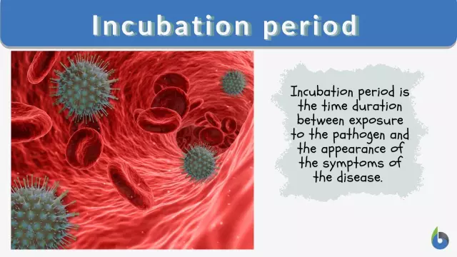 The incubation period for lichen in humans: description, features and recommendations