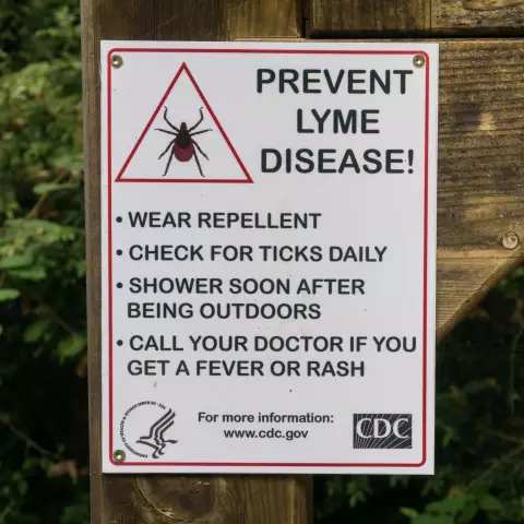 Tick-borne diseases: symptoms. What diseases does the tick carry?