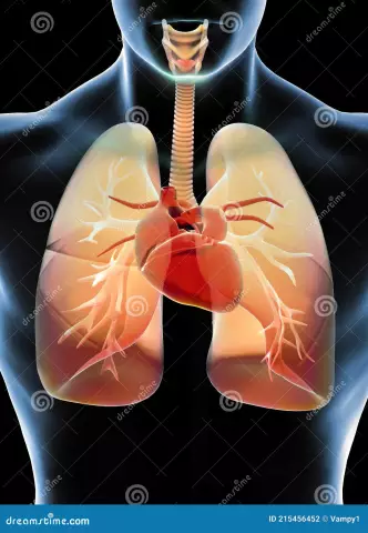 Treatment of shortness of breath in heart failure with breathing exercises, folk remedies, drugs. Treatment of dyspnoea in heart failure in dogs