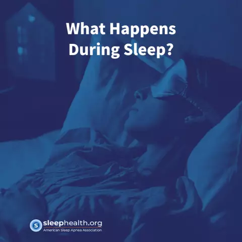 What happens in the body during sleep? Processes in the body during sleep