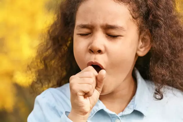 Mga sintomas ng whooping cough sa isang bata, mga yugto ng sakit at paggamot