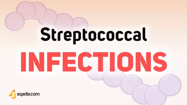 Differences in streptococcal infections. Symptoms of their presence