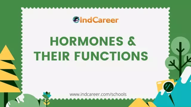 Gonadotropic hormones and their functions