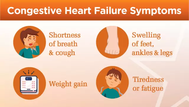 CHF: classification. Symptoms of chronic heart failure, treatment