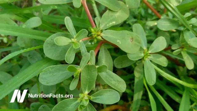 Treatment of pink lichen in humans - drugs, diet and recommendations