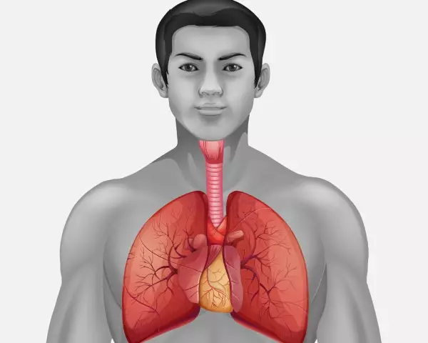 Mitral valve dysfunction