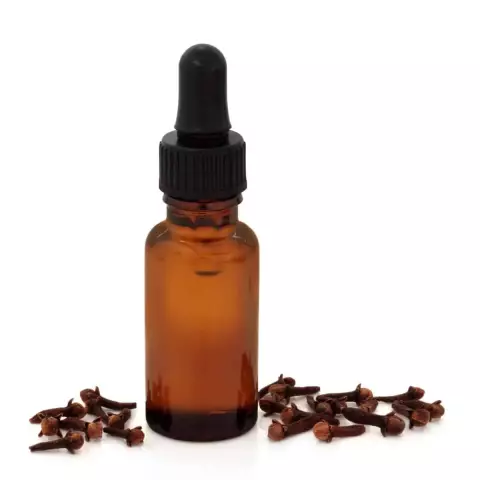 Clove oil. Useful properties, application