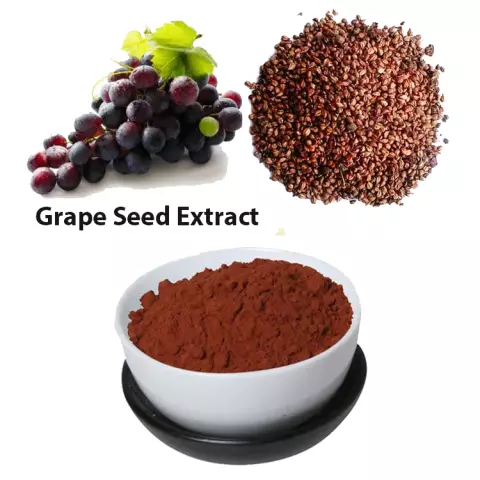 Grape seed extract: useful properties and reviews. Tablets with grape seed extract