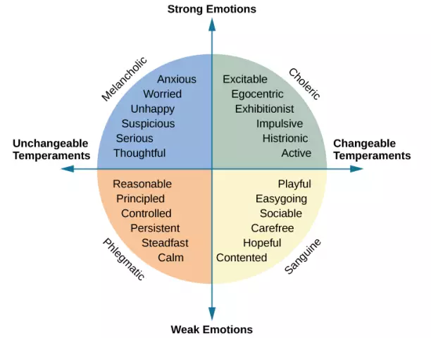 Higher nervous activity - types of temperament