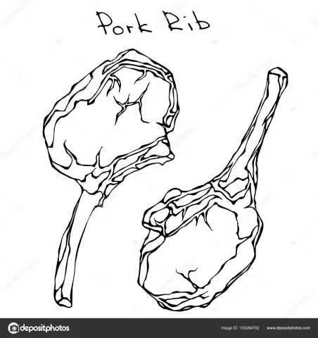 Human ribs. Description, functions