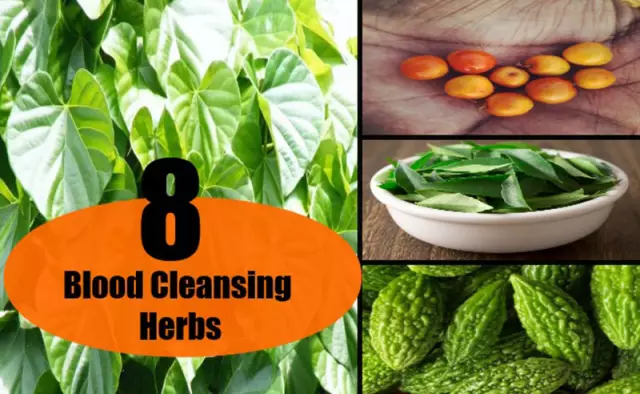 Blood cleansing as a means of protection against various diseases