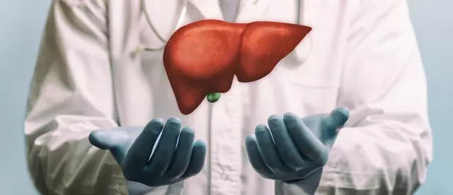 Liver transplant operation: indications, life prognosis