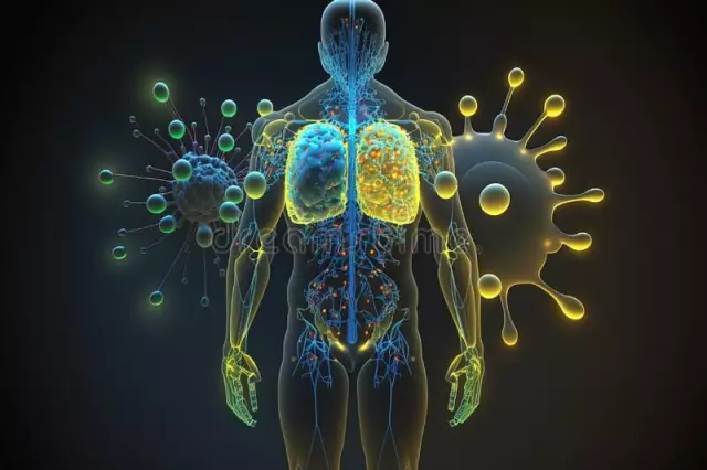 Organs of the immune system. Functions of the immune system