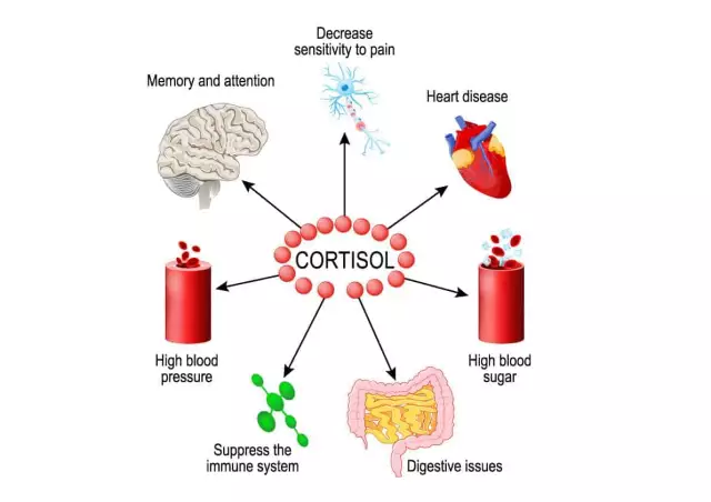 Cortisol - what is it?