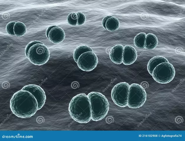 Klebsiella pnevmoniyasi - yiringli-septik va ichak kasalliklarining qo'zg'atuvchisi