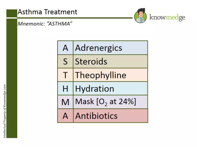 Asthma treatment. Main steps