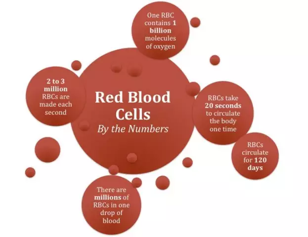 What your blood counts say